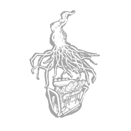 Eruption